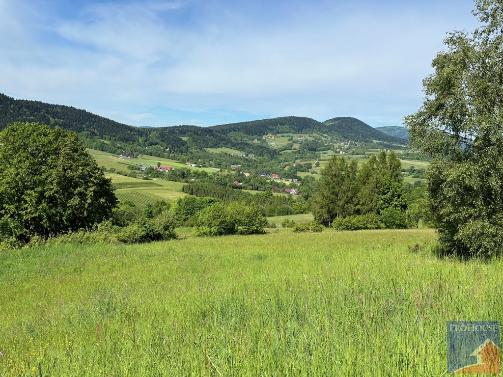 Działka budowlana na sprzedaż Skrzydlna  7 400m2 Foto 16