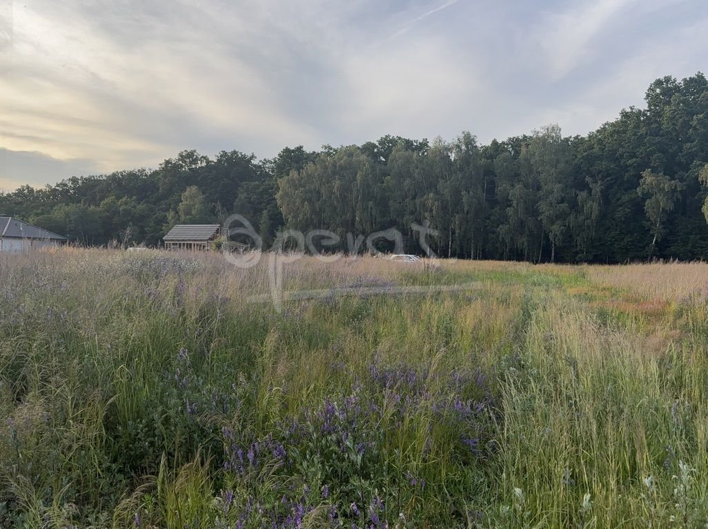 Działka budowlana na sprzedaż Radziwiłłów  1 888m2 Foto 1