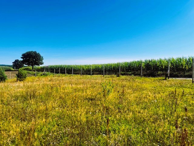 Działka budowlana 1498 m² nad jeziorem Gwiazda, Borowy Młyn Borowy Młyn, Jana Pawła II  1 498m2 Foto 1