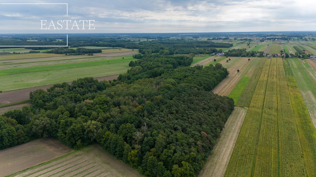 Działka budowlana na sprzedaż Gągolin Północny  29 200m2 Foto 11