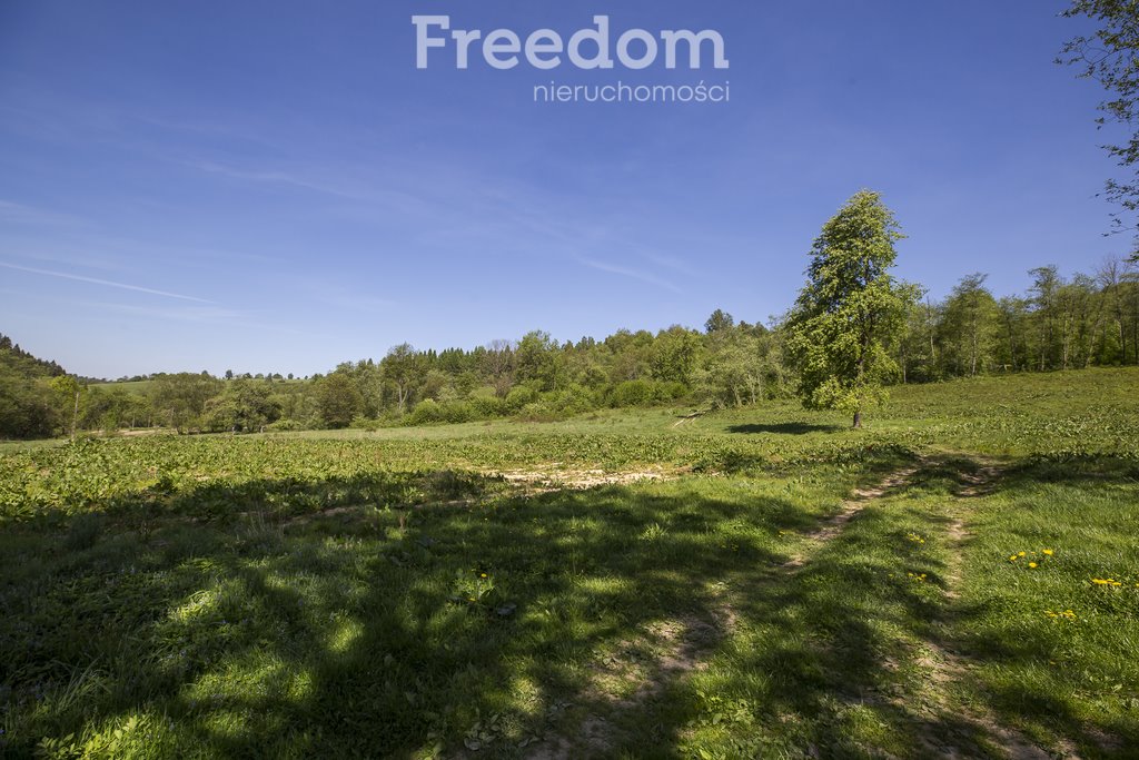 Działka budowlana na sprzedaż Polana  4 784m2 Foto 7