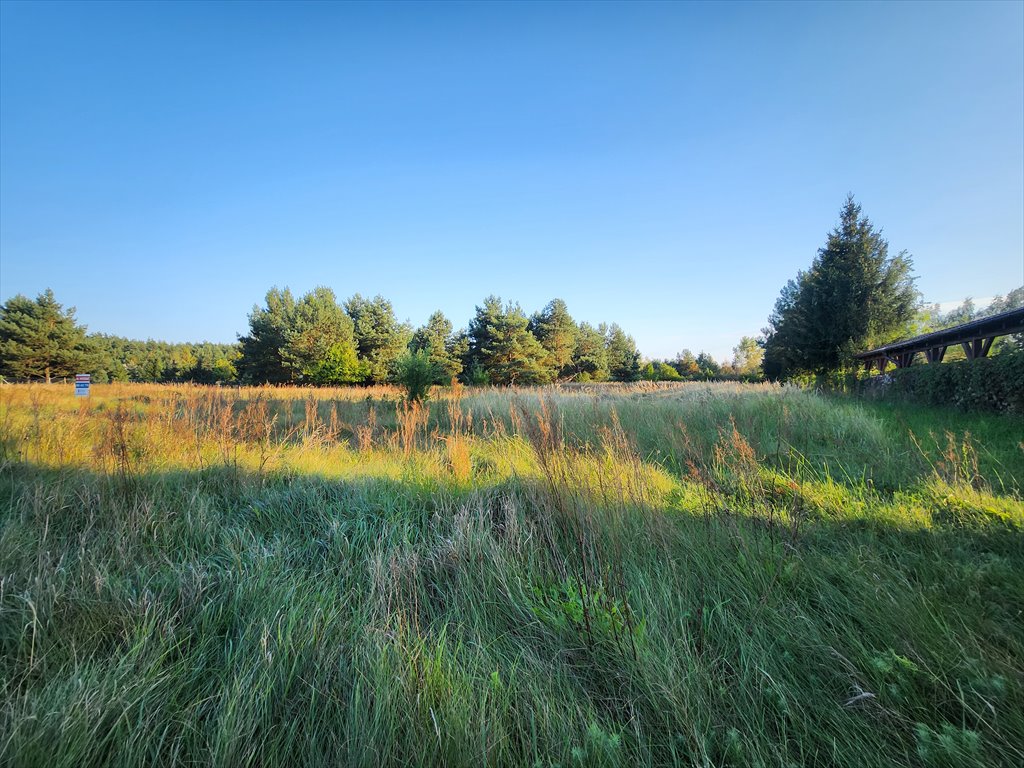 Działka budowlana na sprzedaż Przybyszewo, Henrykowska  2 548m2 Foto 6