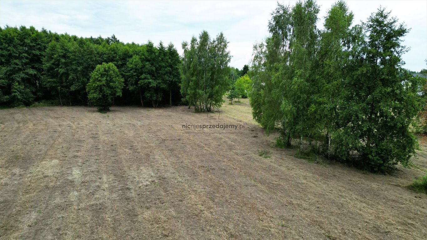 Działka budowlana na sprzedaż Brzesko, Jasień, Kasprowicza  800m2 Foto 5