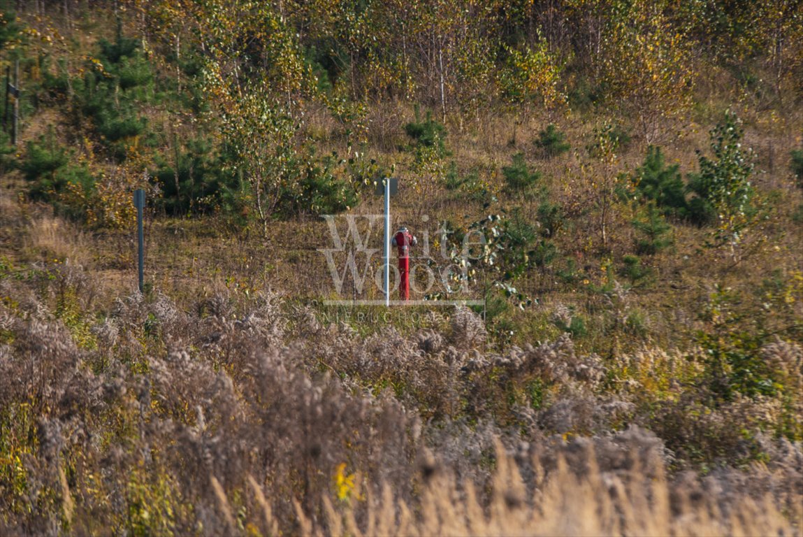 Działka budowlana na sprzedaż Dobrzewino  1 000m2 Foto 10