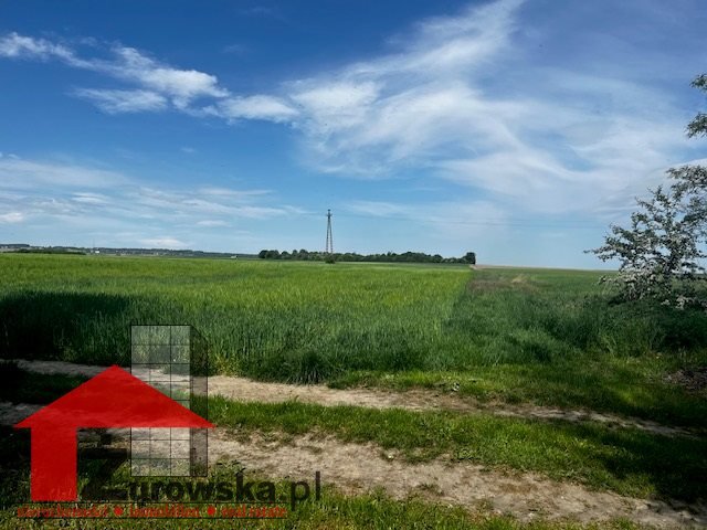 Działka inwestycyjna na sprzedaż Leśnica, Dolna  20 000m2 Foto 7