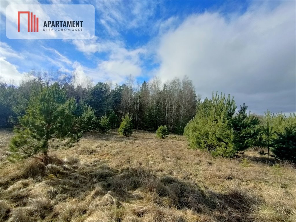 Działka gospodarstwo rolne na sprzedaż Małe Łąkie  9 244m2 Foto 7