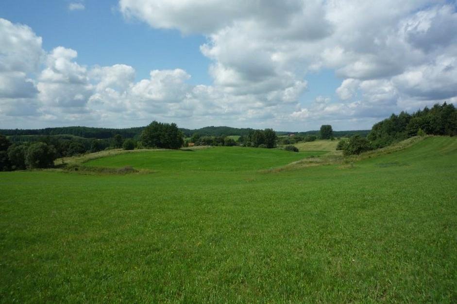 Działka budowlana na sprzedaż Olszewo  12 300m2 Foto 2