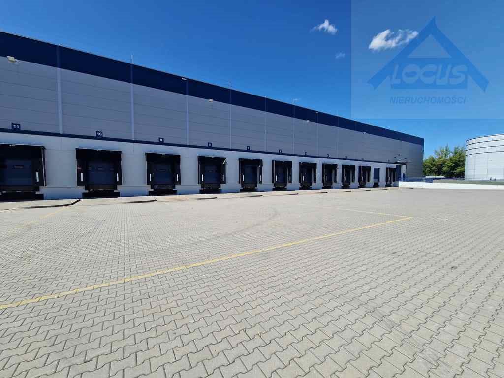 Magazyn na wynajem Ołtarzew  2 500m2 Foto 1