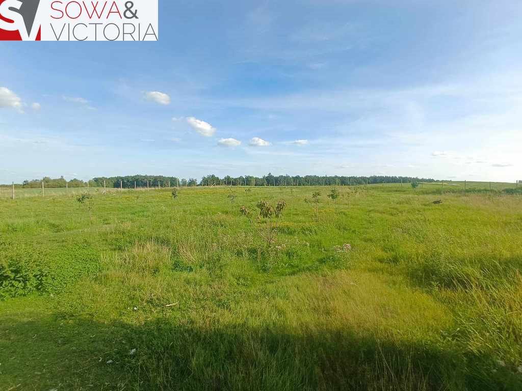 Działka inna na sprzedaż Cieszów  4 624m2 Foto 1