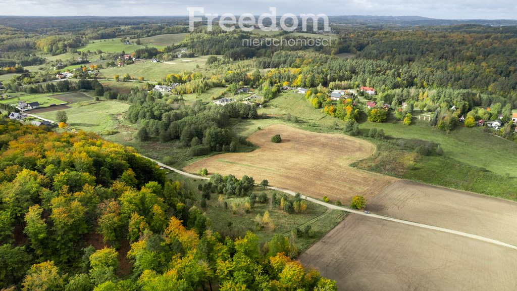 Działka budowlana na sprzedaż Klonowo Dolne, Głęboka  9 739m2 Foto 17