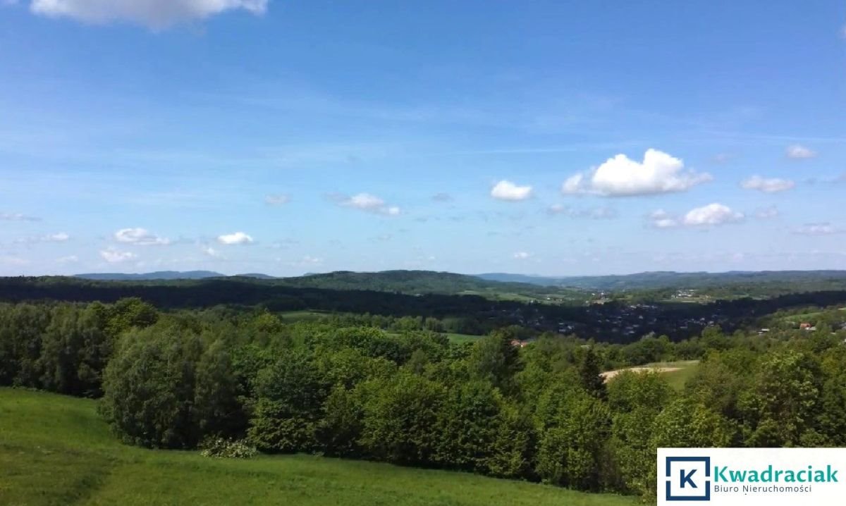 Działka rolna na sprzedaż Golcowa  3 700m2 Foto 1