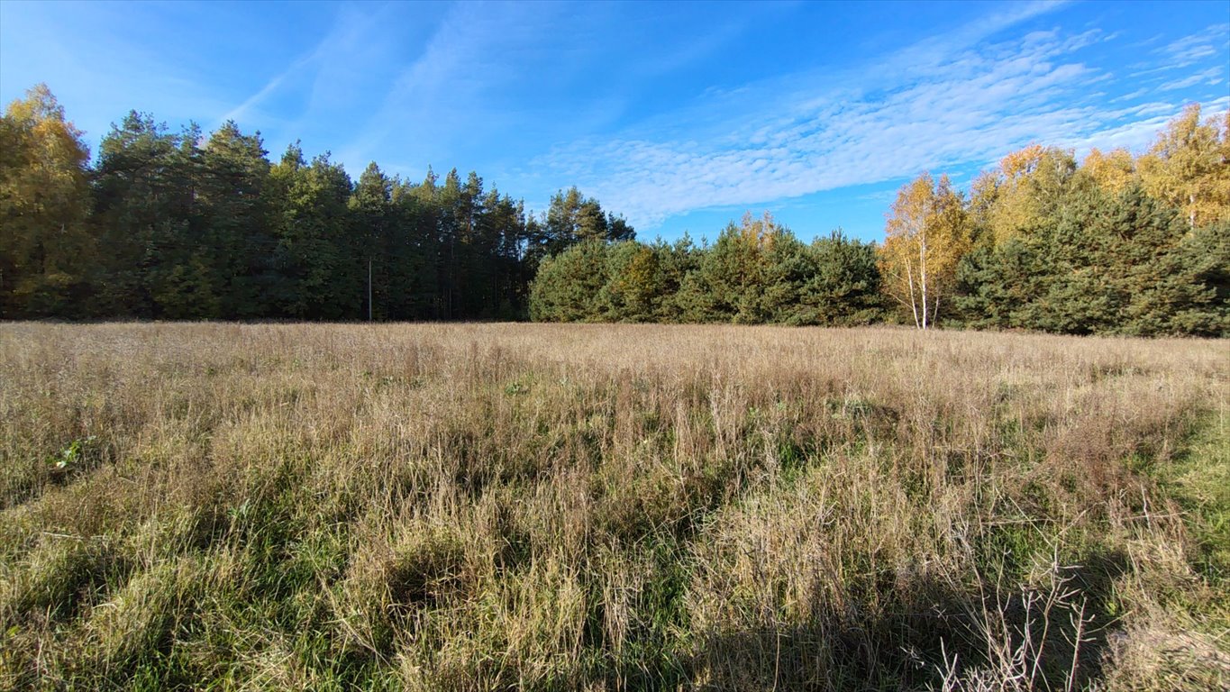 Działka inna na sprzedaż Nowa Wieś, Nowa Wieś  1 380m2 Foto 7