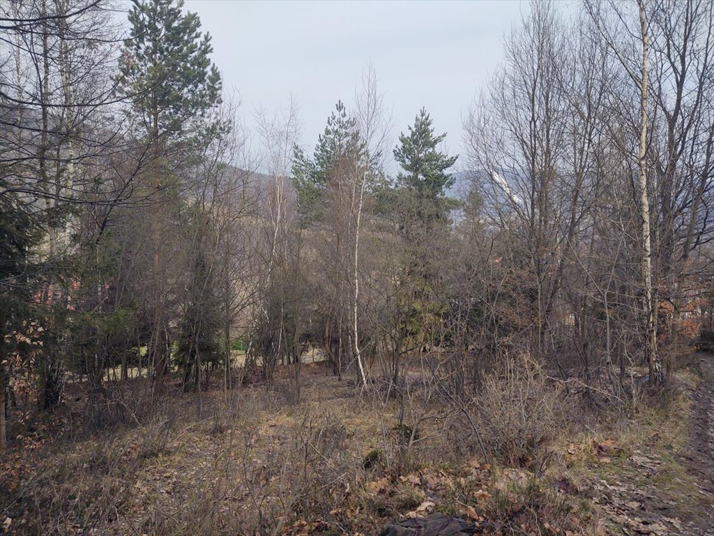 Działka leśna z widokiem na Beskidy, 5600 m², do negocjacji Tresna  5 560m2 Foto 1