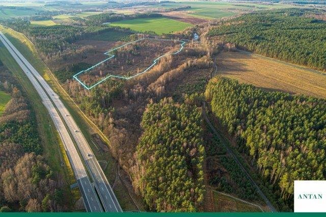 Działka inwestycyjna 98 ha pod logistykę i produkcję Strzelno, Zgorzelecka  98 100m2 Foto 1
