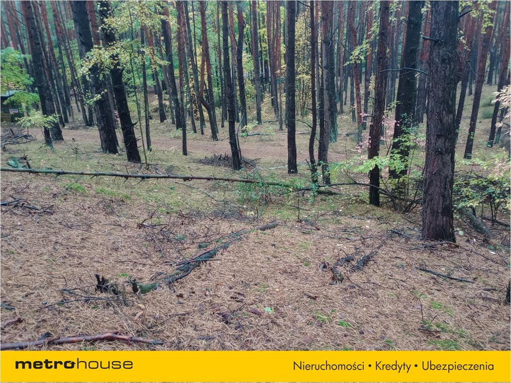 Działka leśna na sprzedaż Popowo-Parcele, Somianka  1 012m2 Foto 3