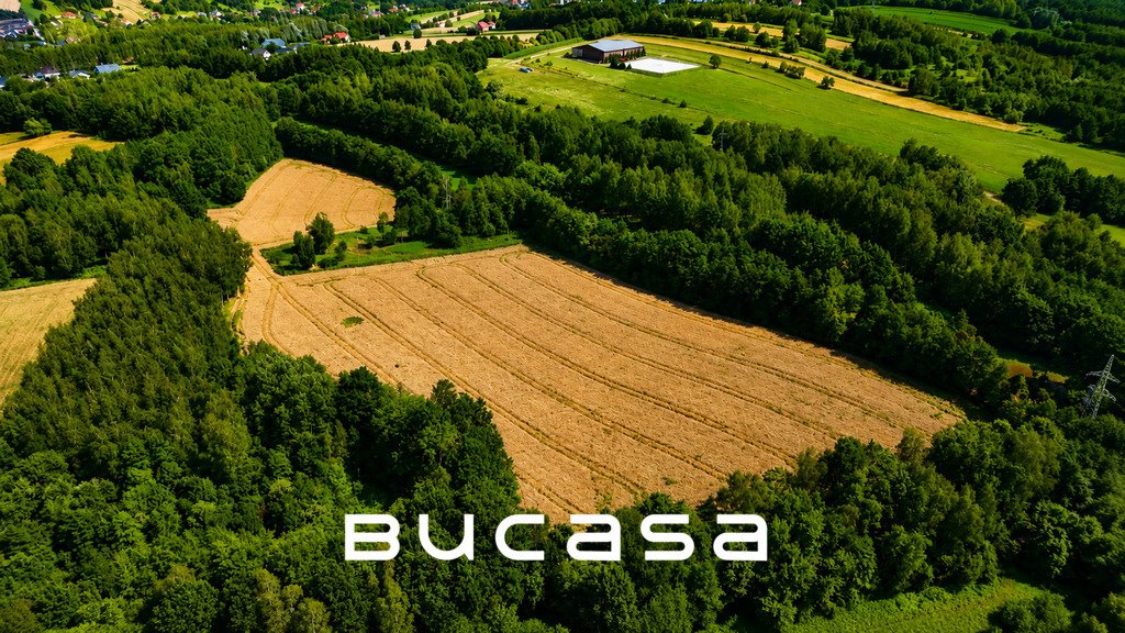 Polecam kompleks 7 działek 35 600 m² w Ochmanowie Ochmanów  35 600m2 Foto 1