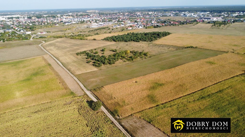 Działka rolna na sprzedaż Suwałki  16 000m2 Foto 1