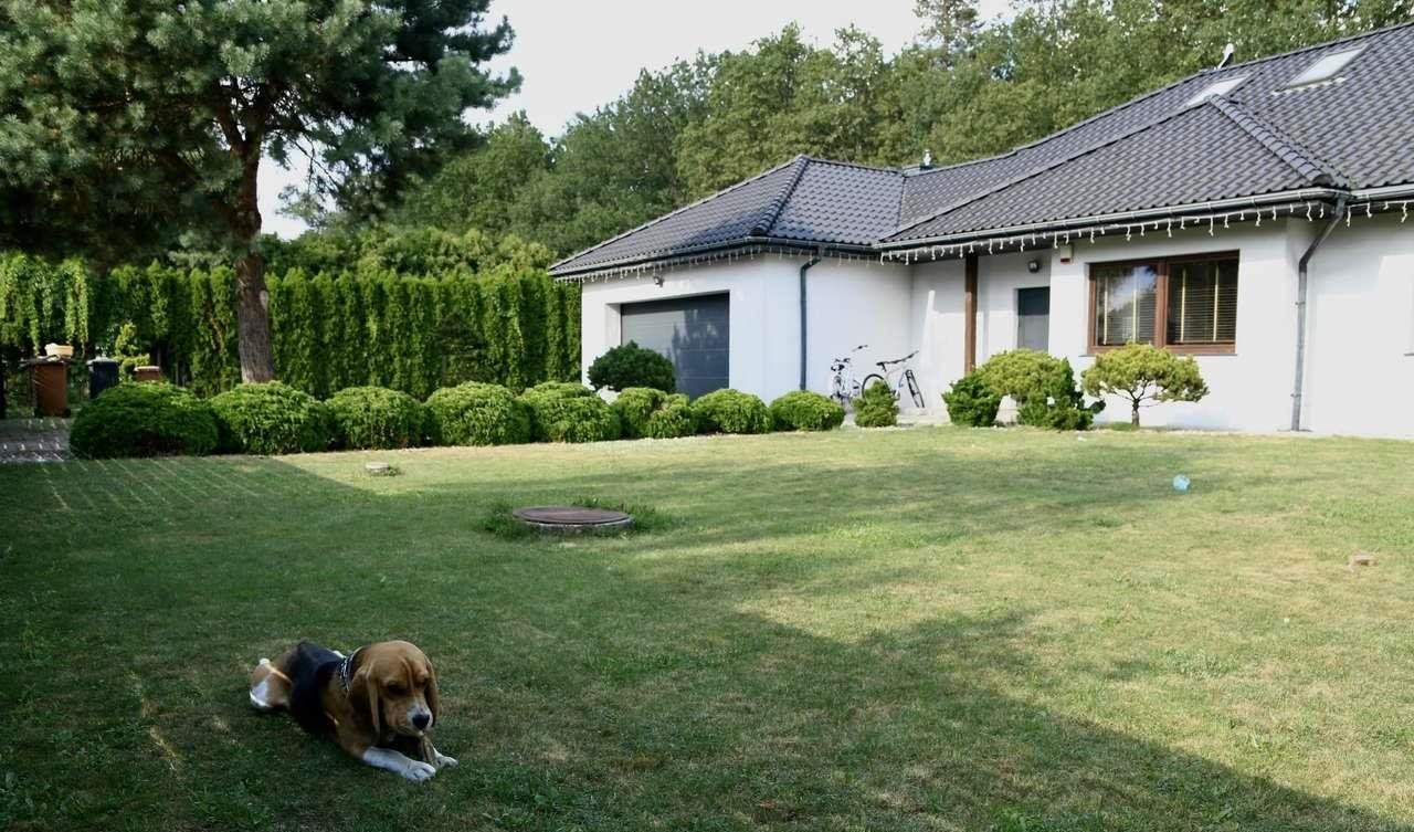 Przestronny dom z garażem, wyposażeniem i zieloną działką Różyca  187m2 Foto 1