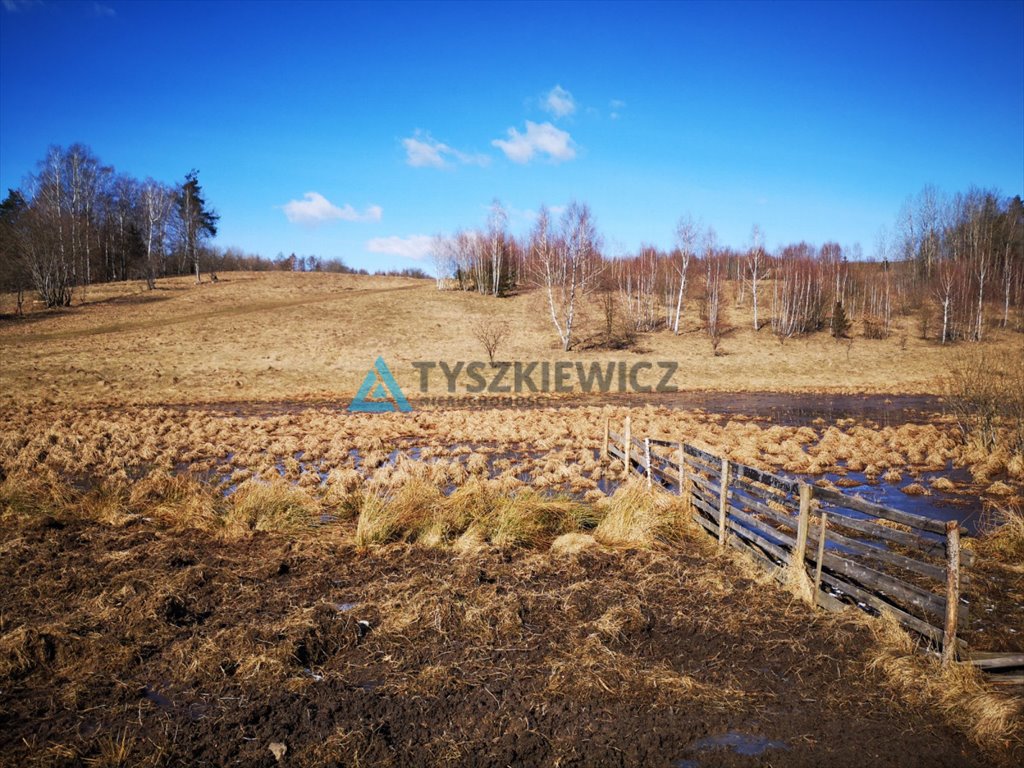 Działka budowlana na sprzedaż Gromadzin  2 907m2 Foto 10