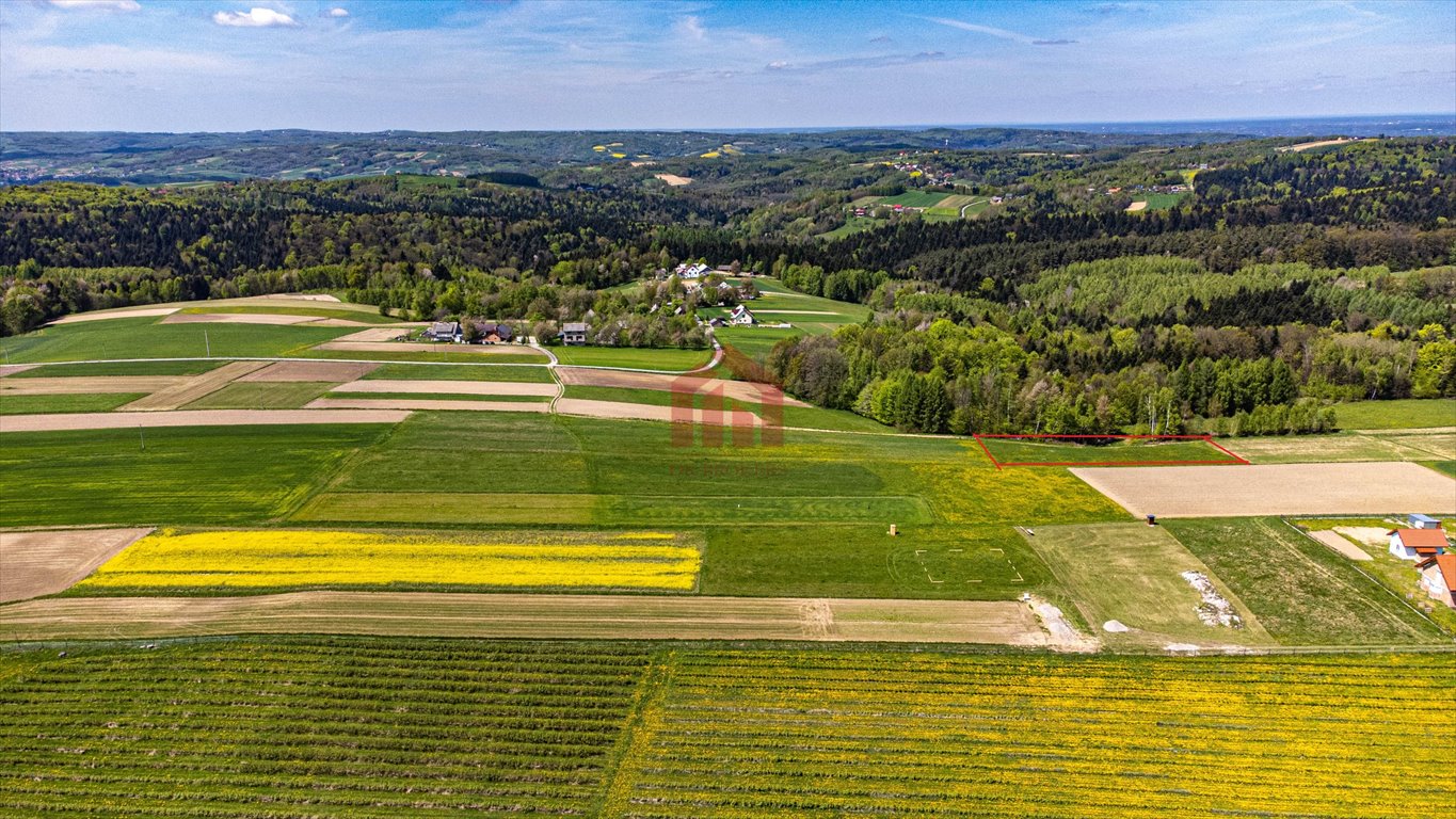 Działka budowlana na sprzedaż Broniszów  2 900m2 Foto 2