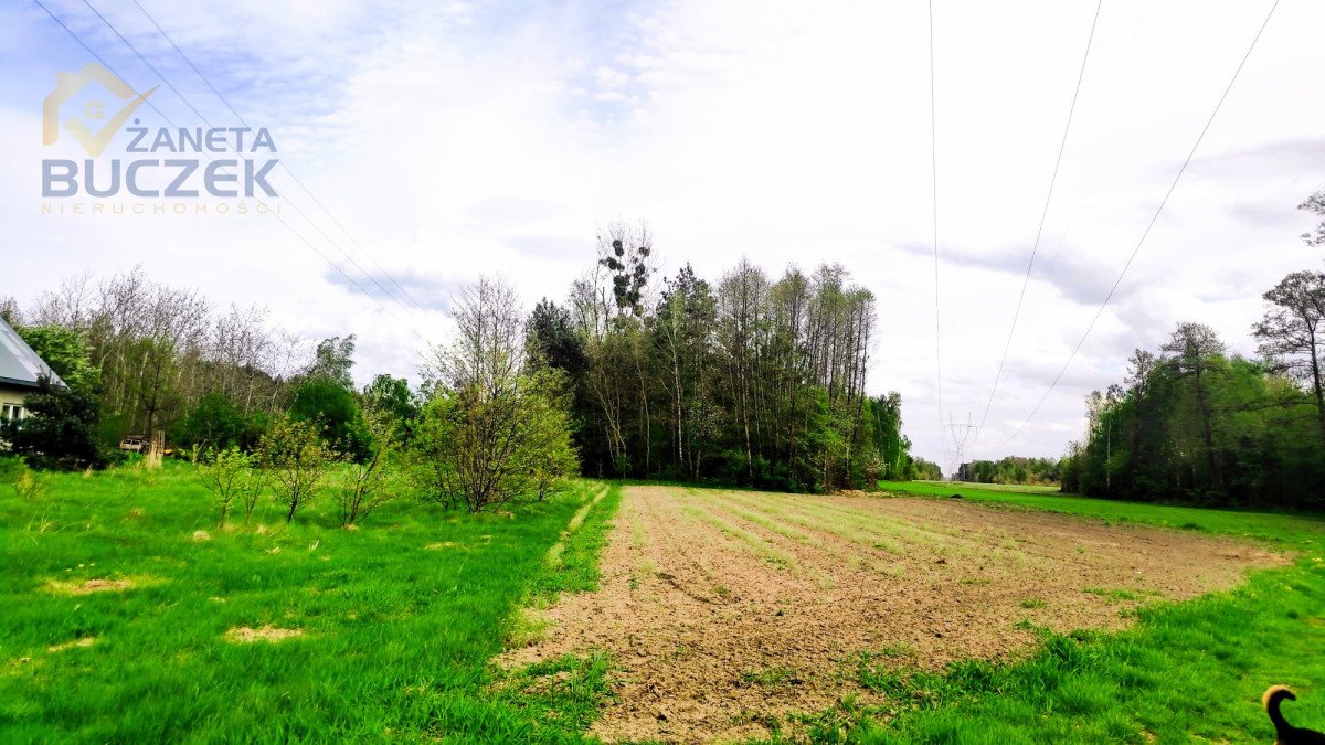 Działka rolna 12,2 ha z dojazdem asfaltowym i prądem Juliopol  122 161m2 Foto 1