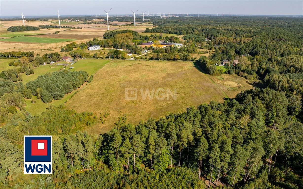 Działka siedliskowa na sprzedaż Kanin, Kanin  3 199m2 Foto 5