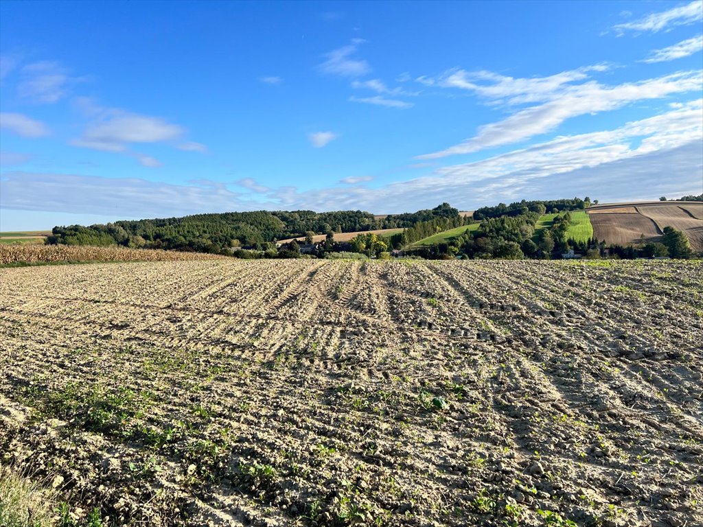 Dom na sprzedaż Słaboszów  80m2 Foto 14