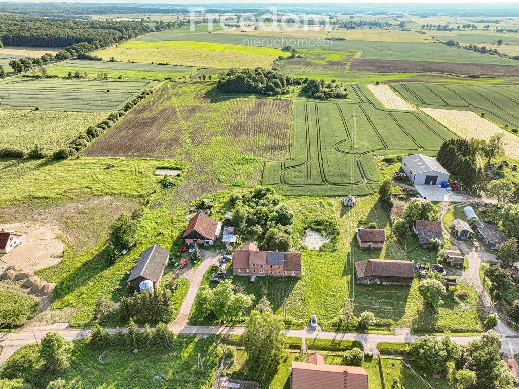 Działka siedliskowa na sprzedaż Młynary  3 311m2 Foto 14