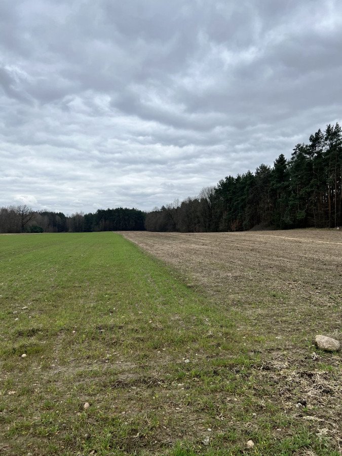 Działka budowlana na sprzedaż Sławiny  1 100m2 Foto 3