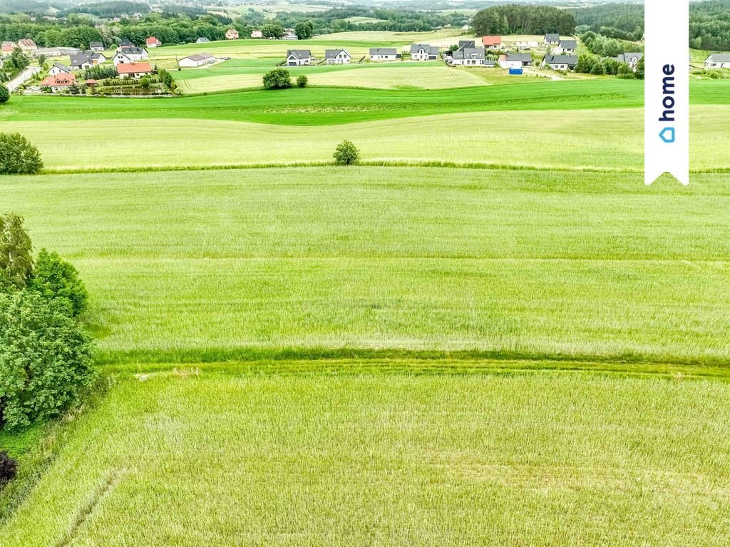 Działka budowlana na sprzedaż Kobysewo, Długa Ryga  37 000m2 Foto 17