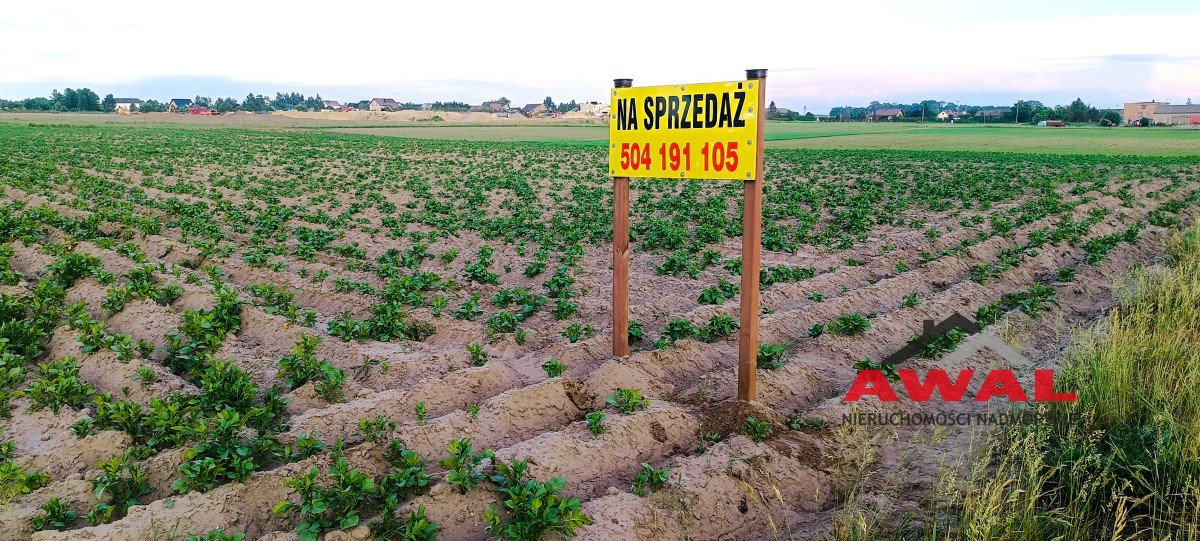 Działka budowlana na sprzedaż Mieroszyno, Sosnowa  1 000m2 Foto 4