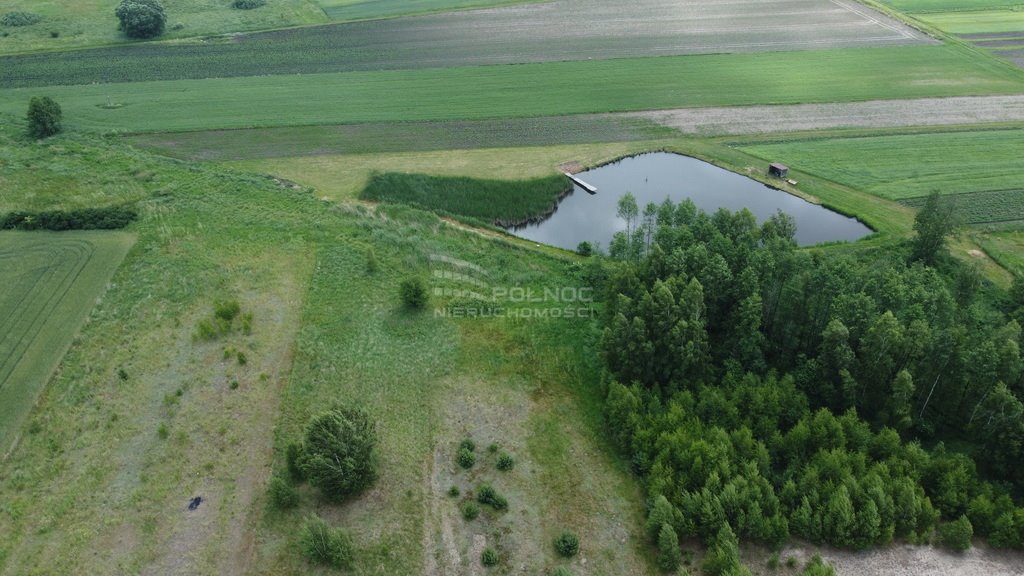 Działka budowlana na sprzedaż Ruda Wołoska  901m2 Foto 3