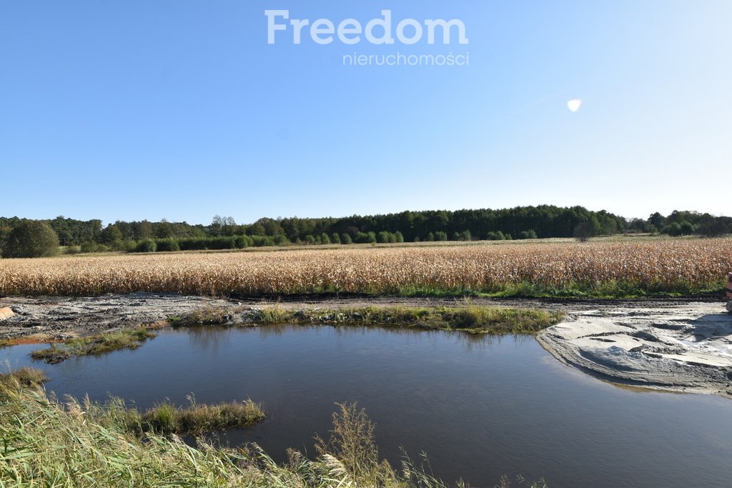 Działka rolna na sprzedaż Łączany  9 000m2 Foto 4