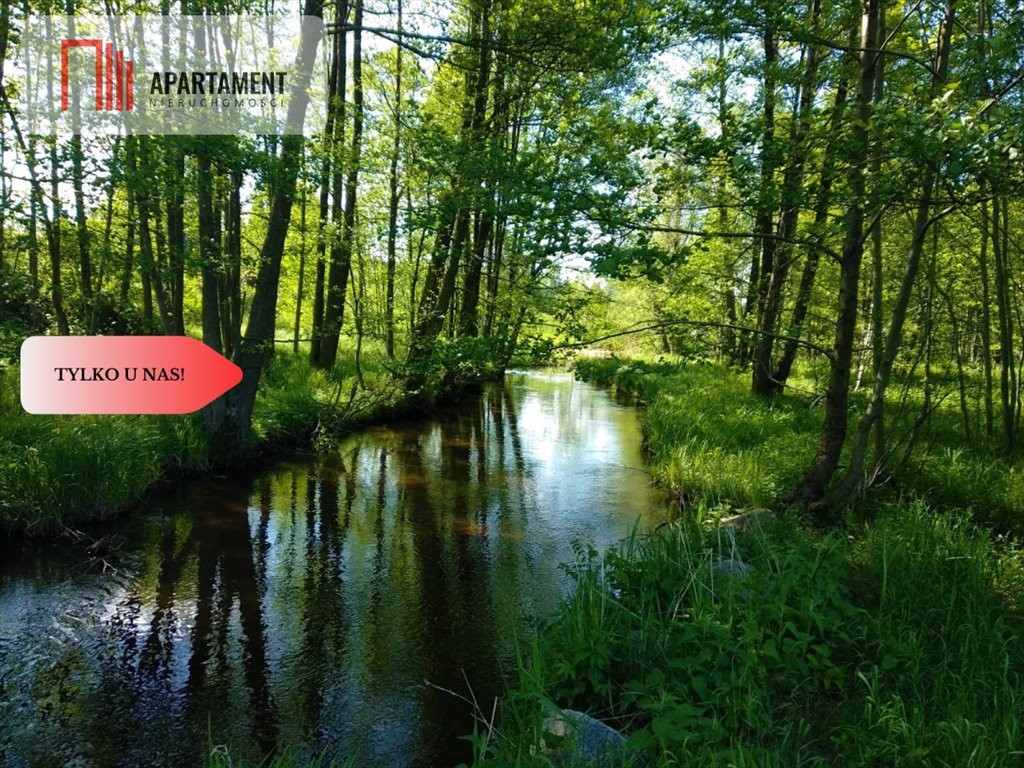 Działka 8800 m² z mediami, rzeka Prusina, idealna pod dom Łążek  8 800m2 Foto 1