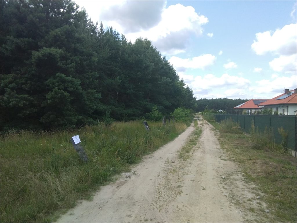 Działka budowlana z lasem, 1100 m², Ostrowina - polecam! Ostrowina  1 100m2 Foto 1