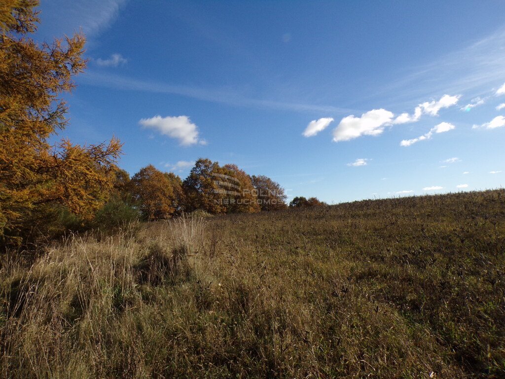 Działka budowlana na sprzedaż Wierzchocino  2 000m2 Foto 10