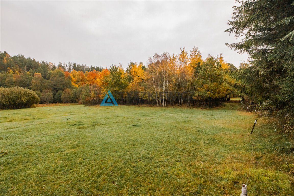 Działka rolna na sprzedaż Tłuczewo  13 493m2 Foto 4