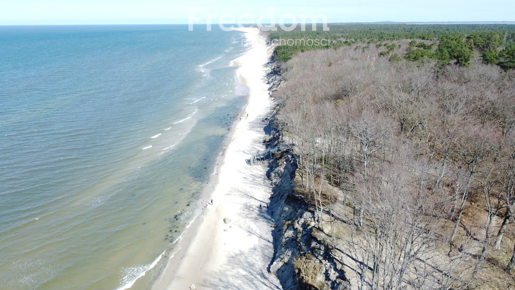 Działka rolna na sprzedaż Dębina  6 002m2 Foto 1