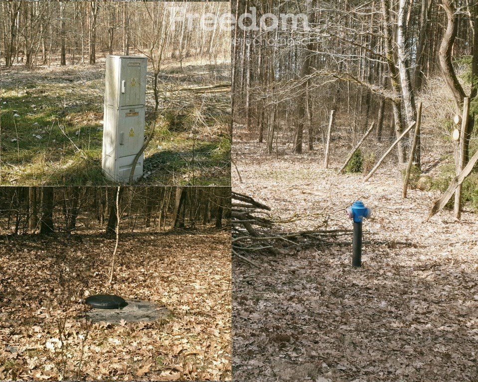 Działka budowlana na sprzedaż Miłogórze  3 000m2 Foto 14