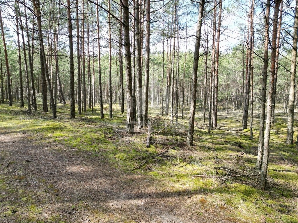 Działka leśna na sprzedaż Krępki  12 611m2 Foto 5