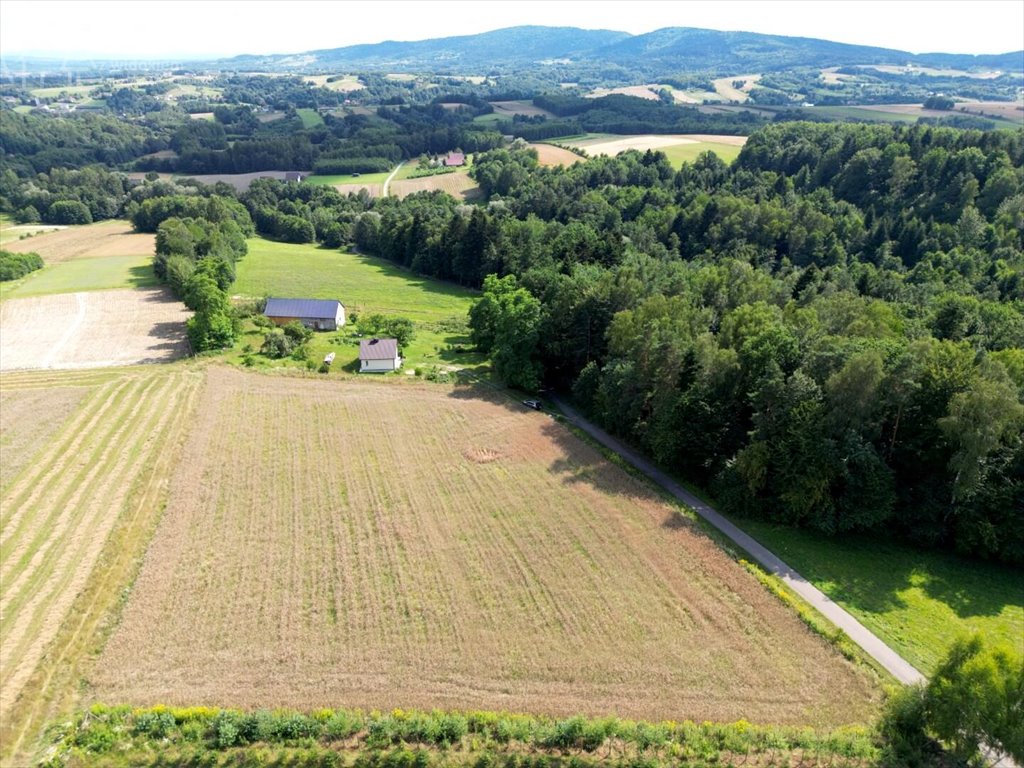 Działka budowlana na sprzedaż Błażkowa  2 200m2 Foto 13