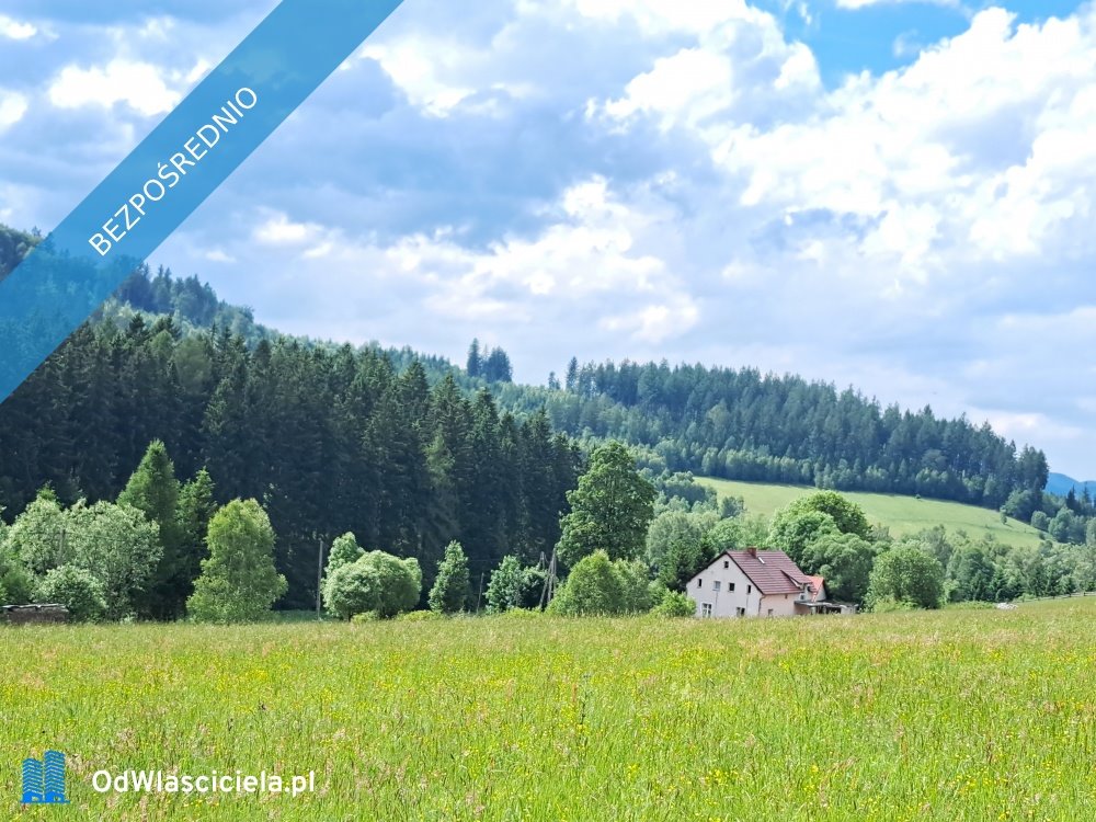 Widokowa działka w Górach Sowich, prywatność i atrakcje Bartnica  1 560m2 Foto 1