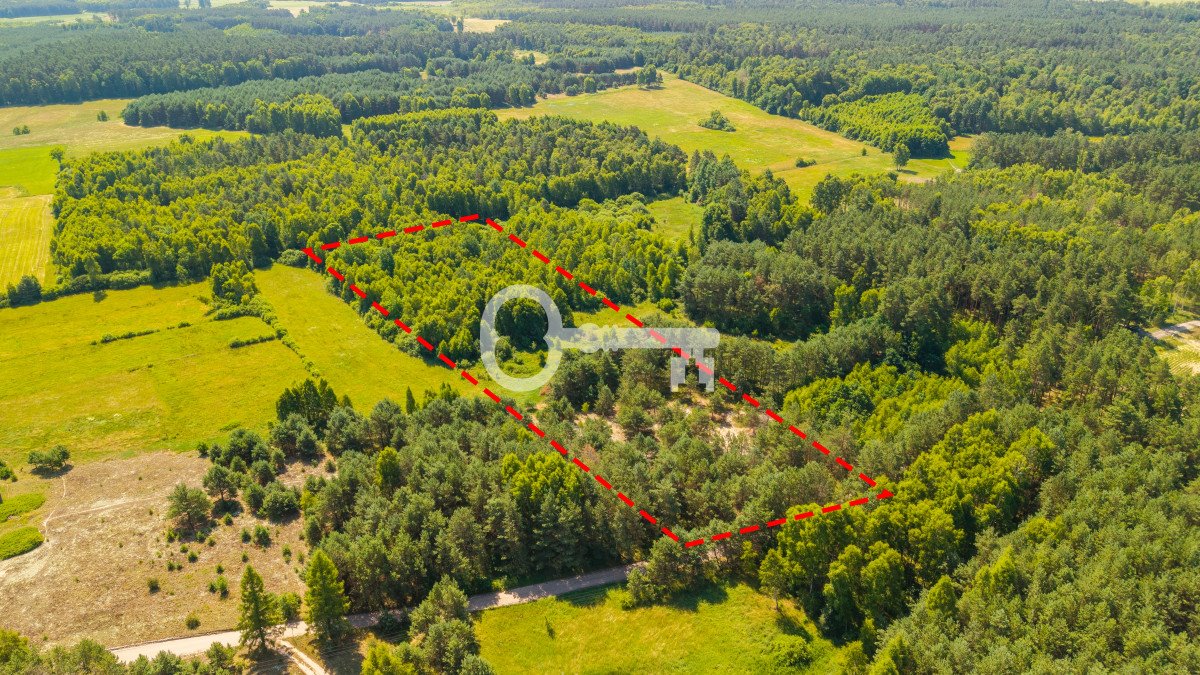 Działka 1,4 ha - prywatność, las, decyzja o zabudowie Będźmierowice  14 000m2 Foto 1