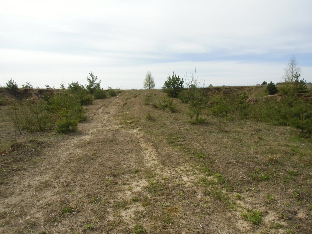 Działka inna na sprzedaż Zakrzewo  18 573m2 Foto 4