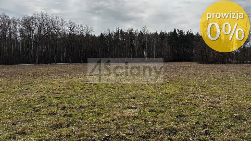 Działka 3008 m² z dostępem do drogi w spokojnej okolicy. Chudolipie  3 008m2 Foto 1