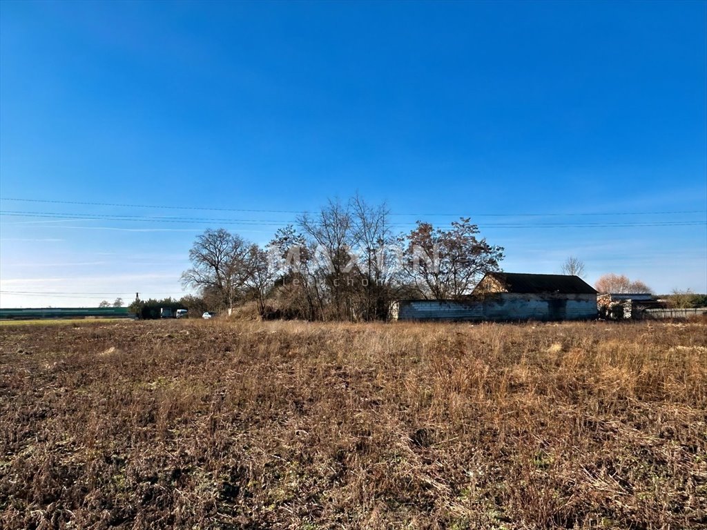 Działka budowlana na sprzedaż Siedlin  25 256m2 Foto 5