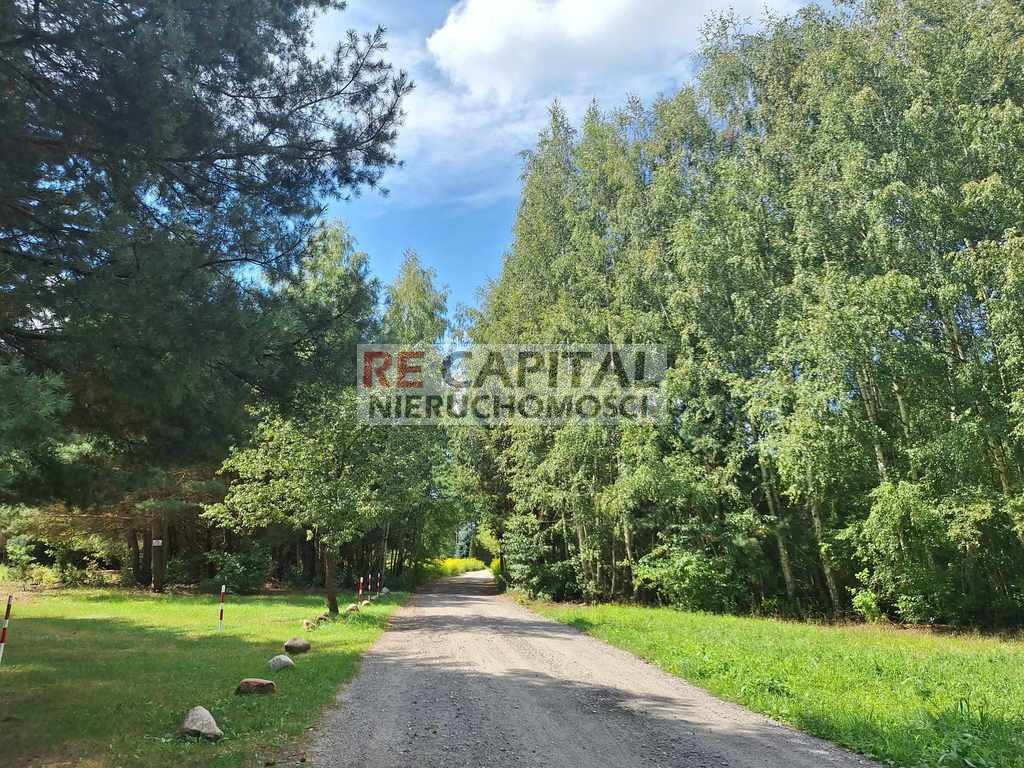 Działka siedliskowa na sprzedaż Mariew  3 000m2 Foto 1