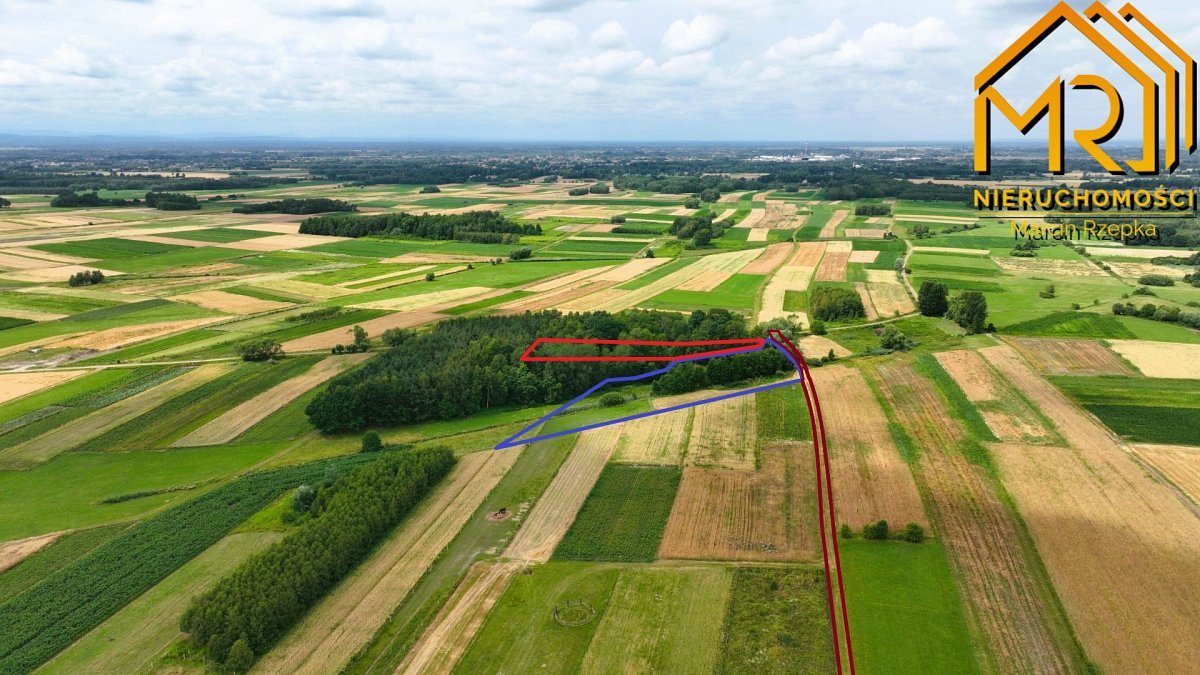 Sprzedam działki leśne z dostępem do drogi w Łukowej Łukowa  2 650m2 Foto 1
