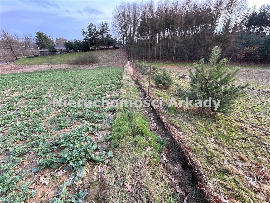 Działka inna na sprzedaż Zebrzydowice Górne, Groblowa  9 156m2 Foto 8