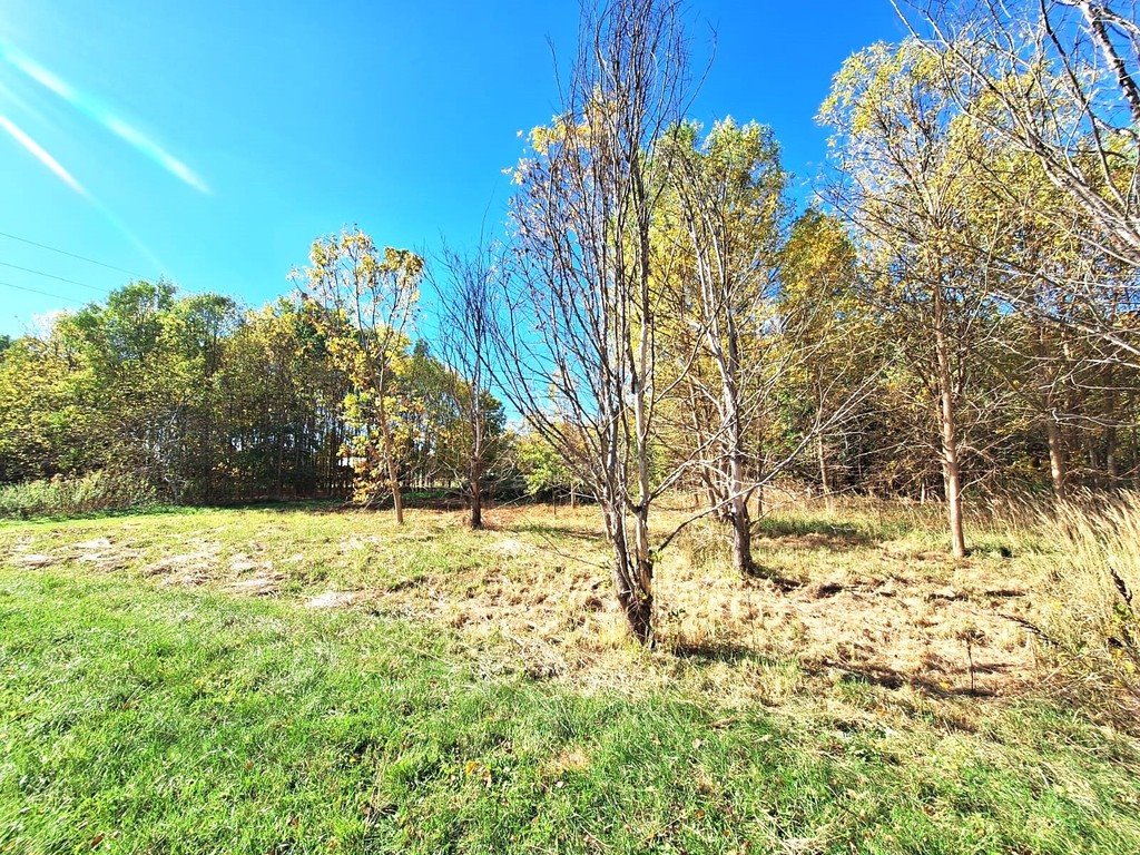 Działka budowlana na sprzedaż Firlej, Działkowa  1 501m2 Foto 8